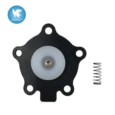 K2003 Nitrile K2004 fluororubber Diaphragm Repair Kit For Goyen pulse valve RCA20MM